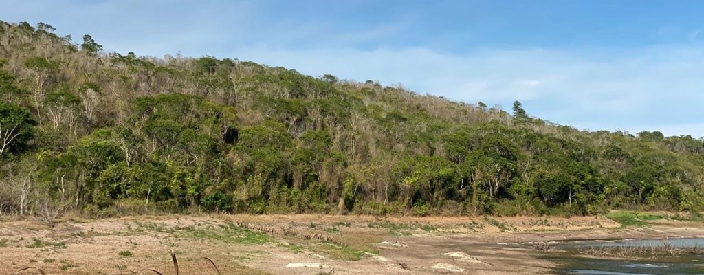 Buenos Airesin uusiutuvan energian projekti Brasiliassa